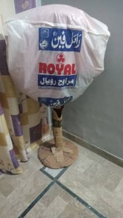 Royal fan