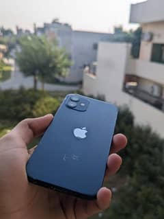 iphone 12 128 Gb