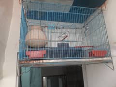 1 portion or 1 portion cages