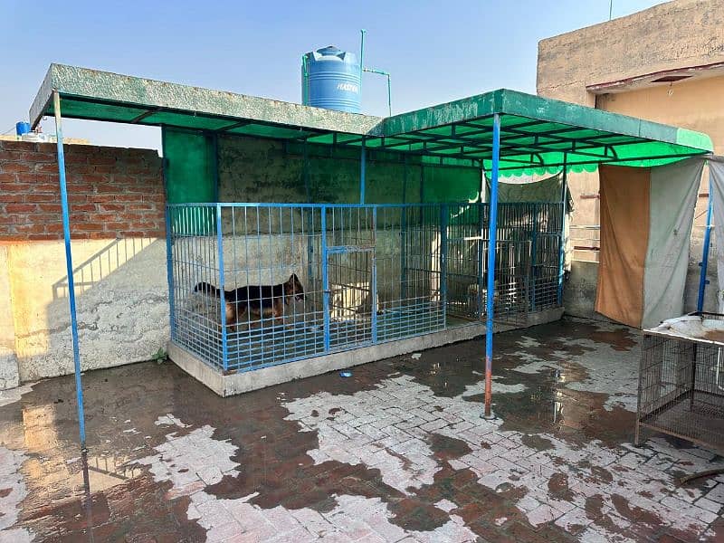 Heavy big size cage shed for urgent sell 0