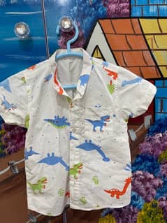 boys dino shirt