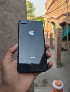 iPhone 8 Plus 0