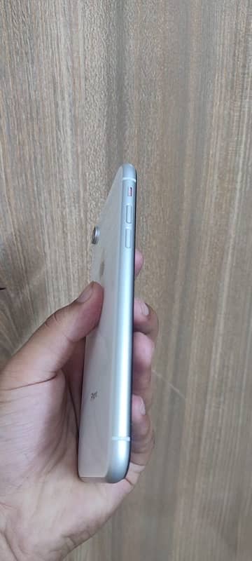 Iphone Xr 256gb (Non PTA) panel changed 2