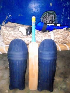 Cricket hard ball kit