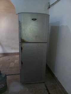 haier jumbo fridge