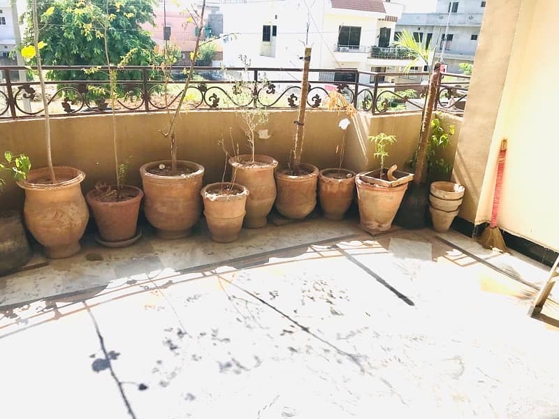 pots with plants for sale 1