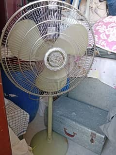 Royal pedestal fan 24", 220/230V