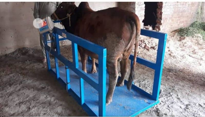 weighbridge,computer scale,industrial scale,floor scale,load cell 7