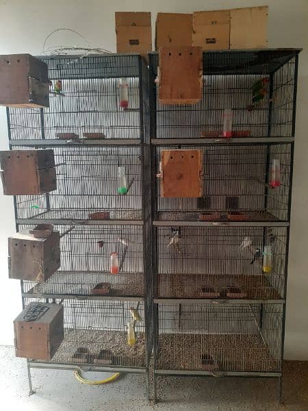 Birds Complete Setup Sales 2