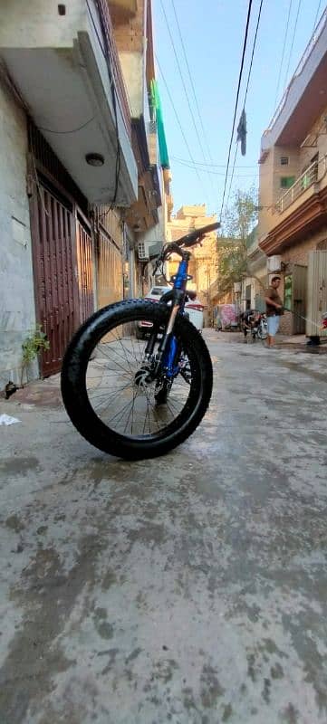 Mountain bicycle 2