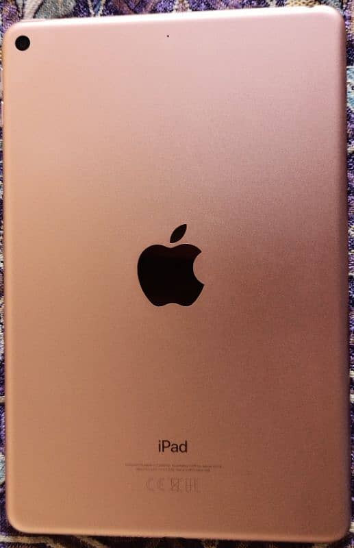 ipad mini 5 0