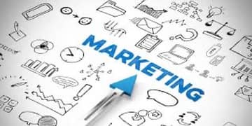 need marketing person