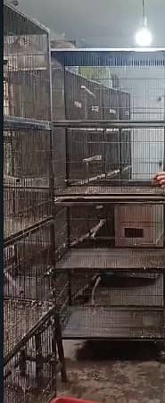 Cage | Birds Cage | Iron Cage | Pinjra | Parrot Cage | پرندوں کا پنجرا