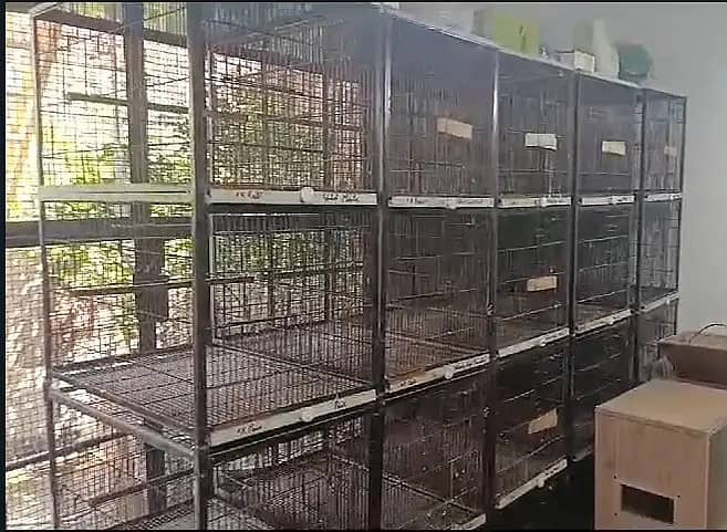 Cage | Birds Cage | Iron Cage | Pinjra | Parrot Cage | پرندوں کا پنجرا 2