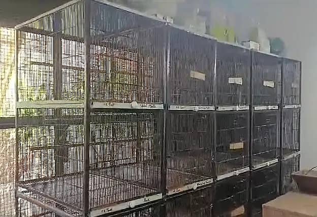 Cage | Birds Cage | Iron Cage | Pinjra | Parrot Cage | پرندوں کا پنجرا 3