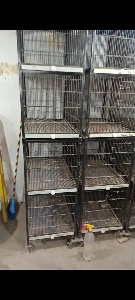 Cage | Birds Cage | Iron Cage | Pinjra | Parrot Cage | پرندوں کا پنجرا 4