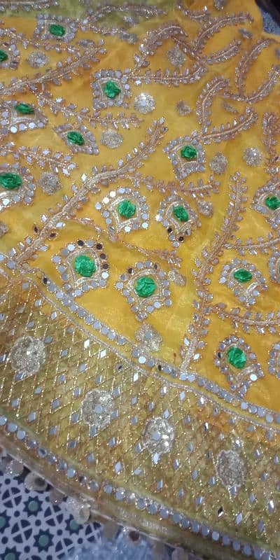 Mehandi Lehnga For Sell 5