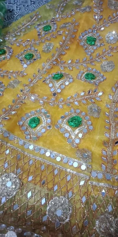 Mehandi Lehnga For Sell 6