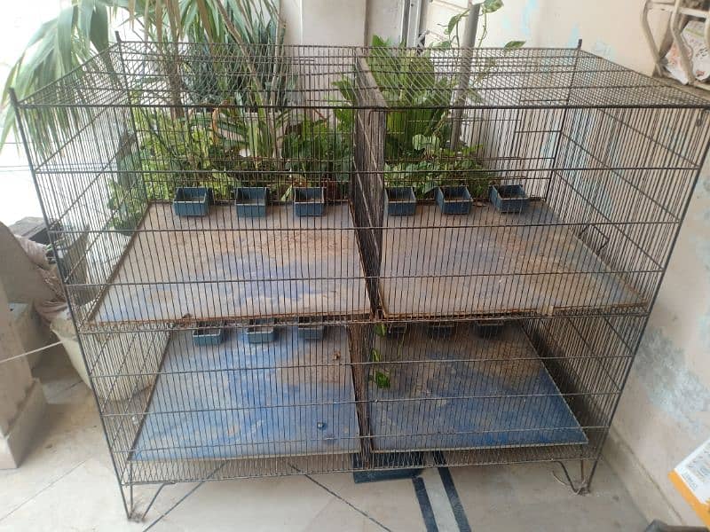 4 Bird cages 0