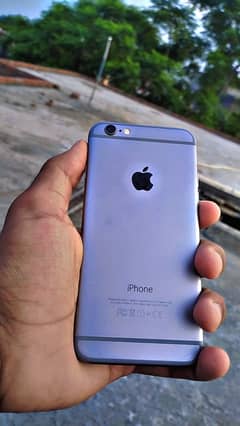 iPhone 6 ha only WhatsApp contacts 03196419558