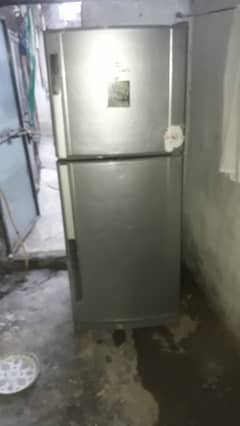 fridge