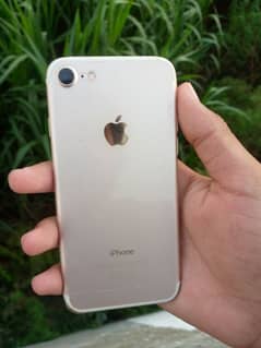 Apple iPhone 7