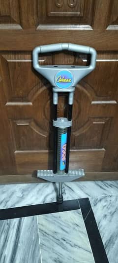 ozbozz pogo stick