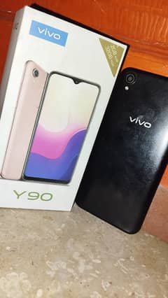 VIVO