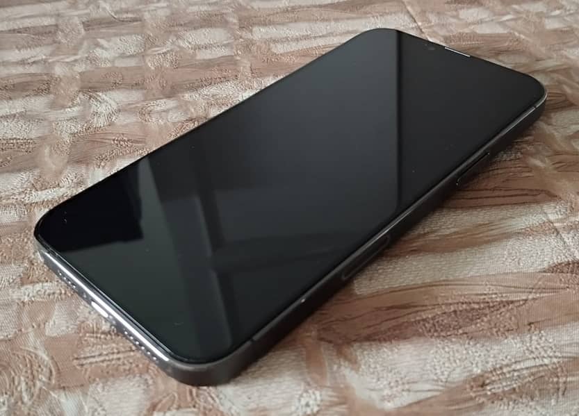 iPhone 13 Pro Max (256 GB) 12