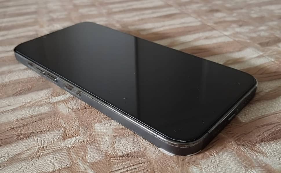 iPhone 13 Pro Max (256 GB) 13