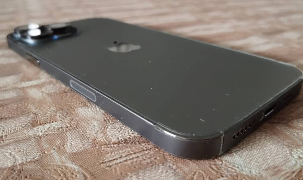 iPhone 13 Pro Max (256 GB) 18