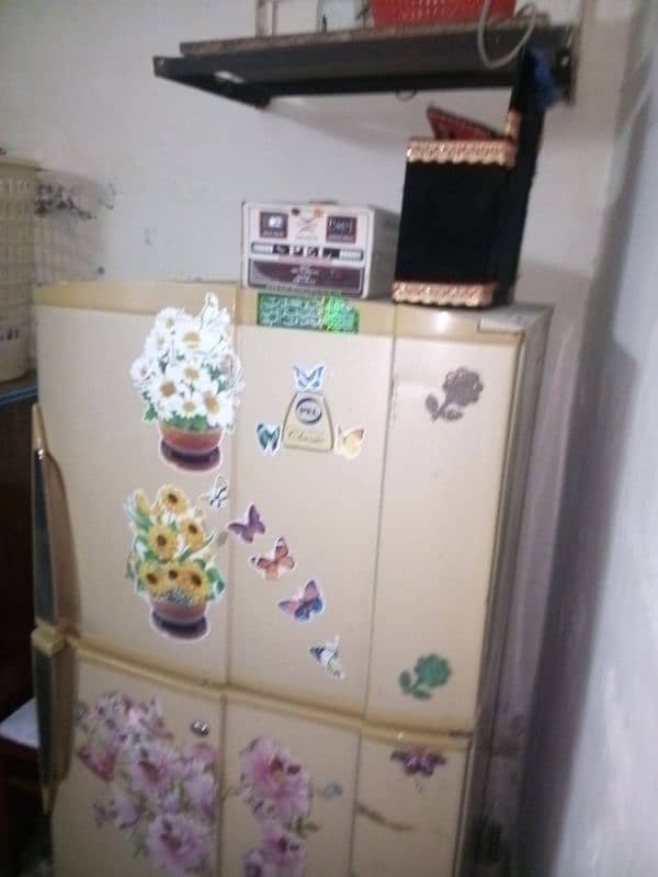 fridge for sale with compressor 2