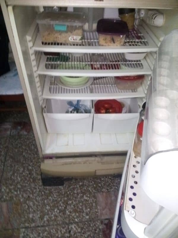 fridge for sale with compressor 3