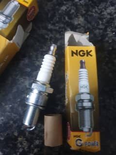 Spark Plugs