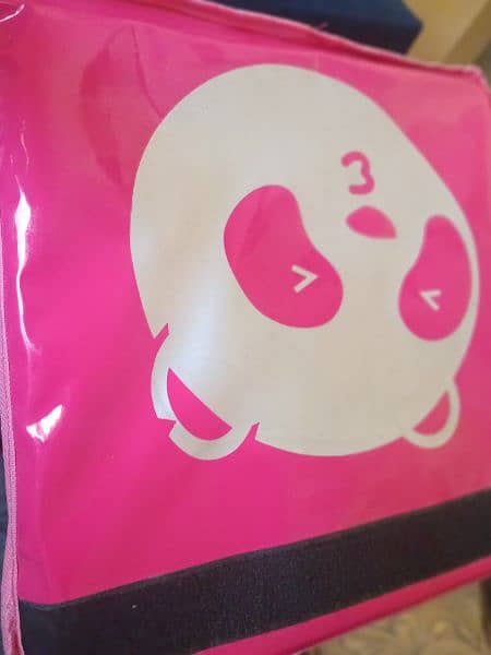 Foodpanda Delivery Bag | Delivery Bag 3