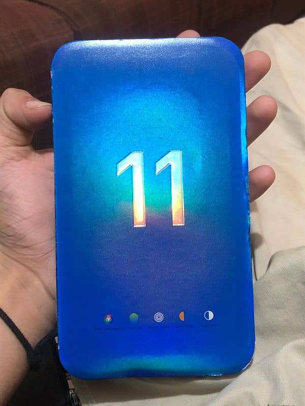 iPhone 11 penal only 2