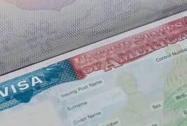 USA B1/B2 VISA