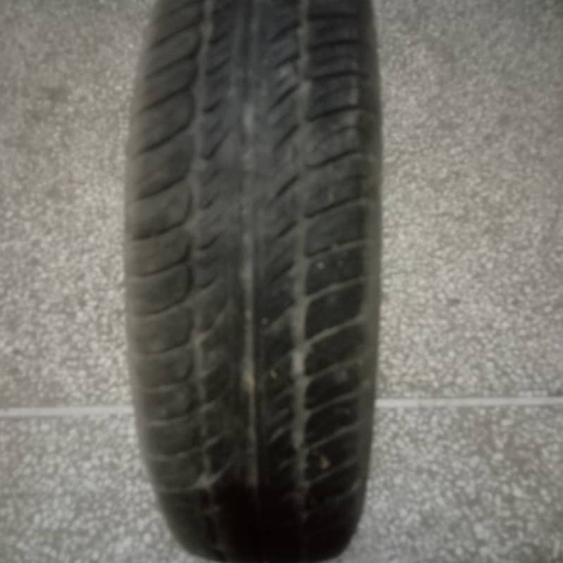 Honda euro star tyre 1