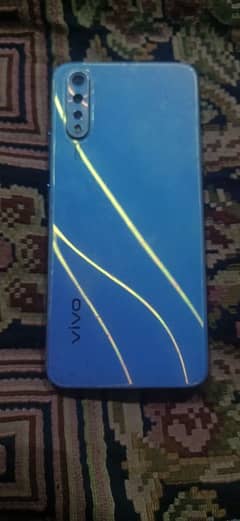 vivo