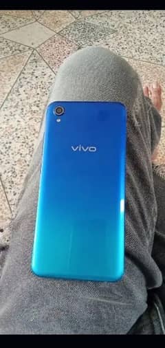 Vivo