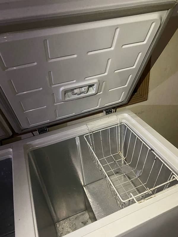 PEL double door deep freezer 4