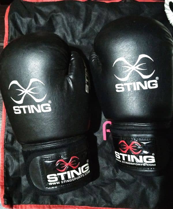 Boxing Gloves 1