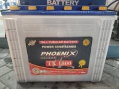 phoenix tall tubular batteries for sale 0