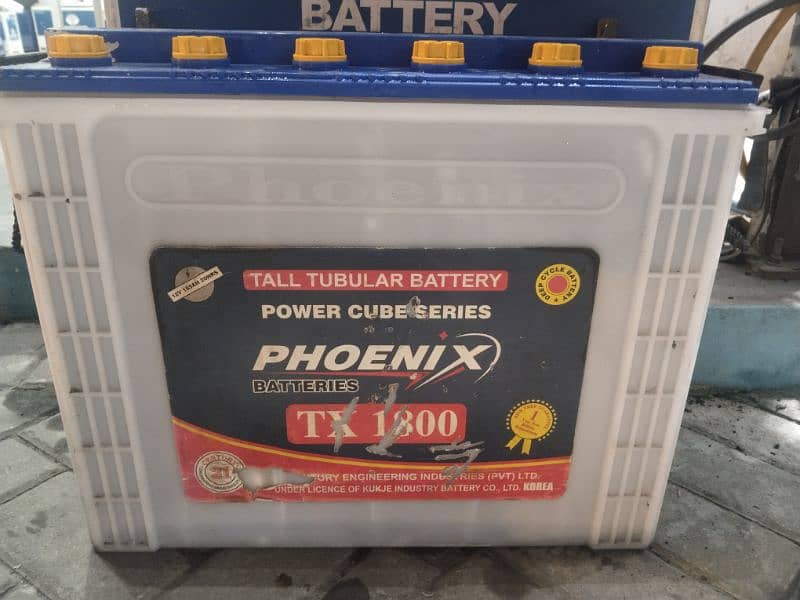 phoenix tall tubular batteries for sale 1