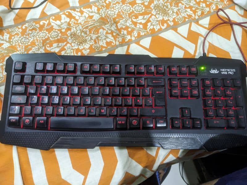 Razer Mouse and RGB Keyboard 3