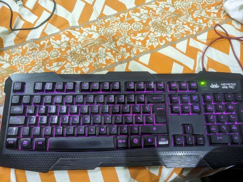 Razer Mouse and RGB Keyboard 4