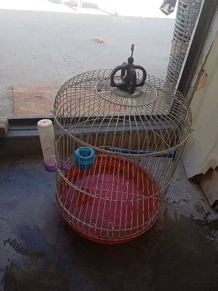 canary birds cage  wt ap  03458387878 2