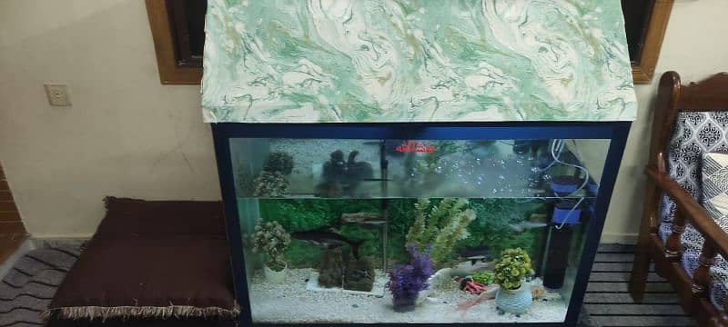 fish Aquarium 4