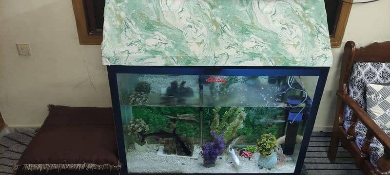 fish Aquarium 5