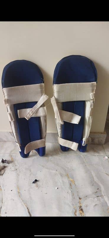 Hard cricket kit with carrying bag available 2